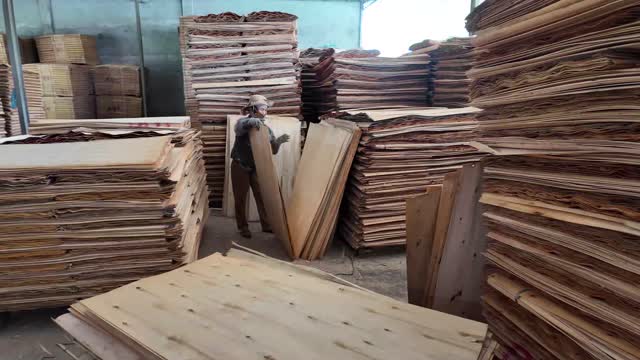 Sorting Veneer In The Aisle