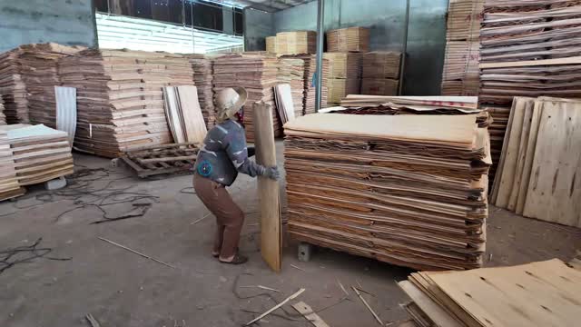 Worker Moves Veneer Sheet