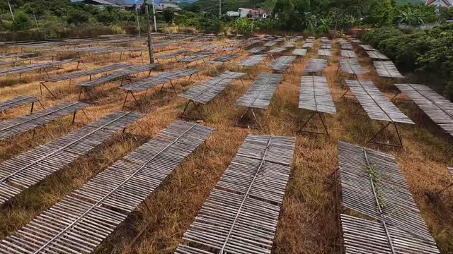 Aerial Over Timber Drying Racks