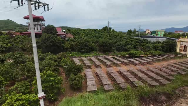Drying Racks Below The Hills