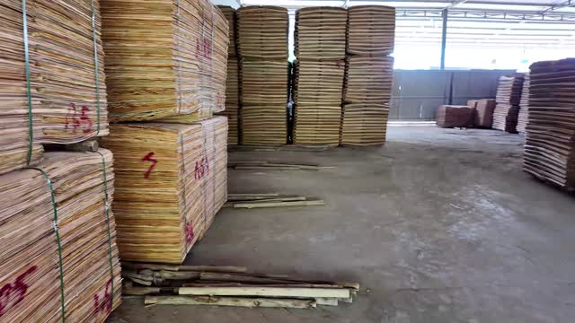 Stacks Of Baled Veneer