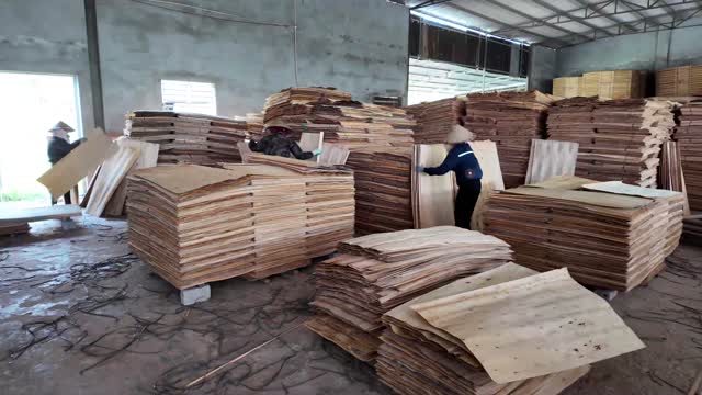 Workers Pack Veneer Sheets