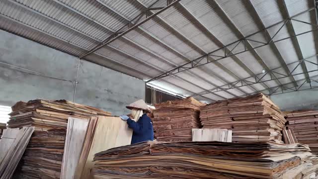Worker Checks Veneer Stack
