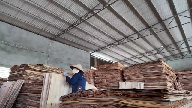 Inspecting Stacked Veneer