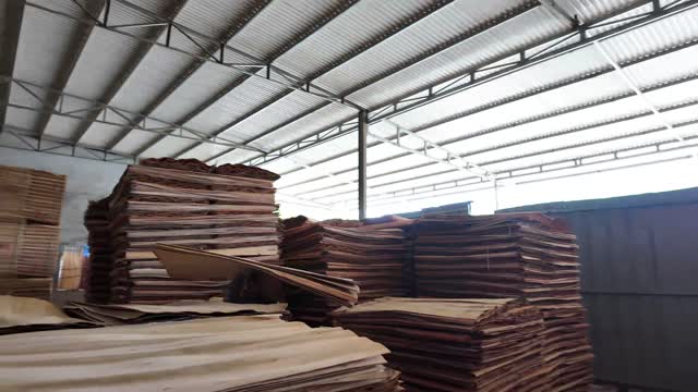 Timber Shed Full Of Veneer