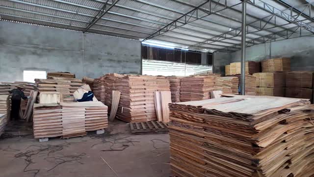 Plywood Veneer Warehouse Interior