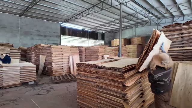 Worker Stacking Veneer Sheets