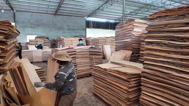 Worker Handling Veneer Bundle