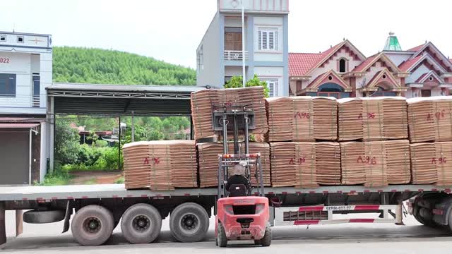 Forklift Loading Plywood Truck