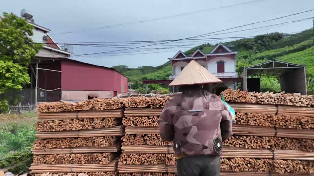 Worker Beside Timber Stacks