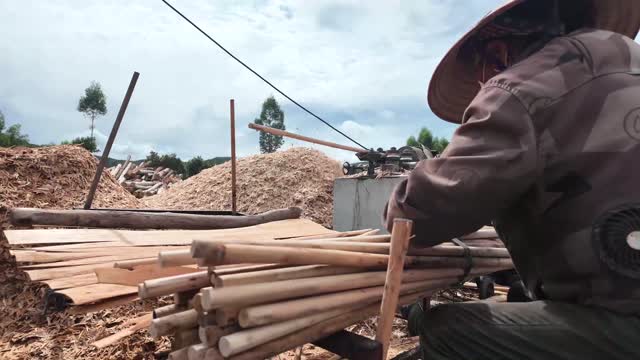 Sorting Timber At Sawmill Machine