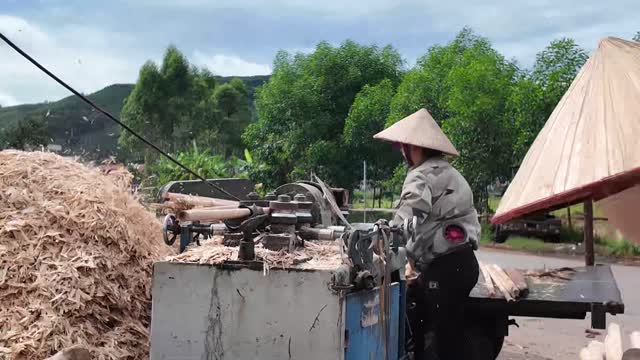 Operating Machine By Sawdust Pile