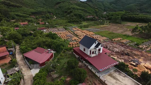 Aerial Village With Timber Stacks