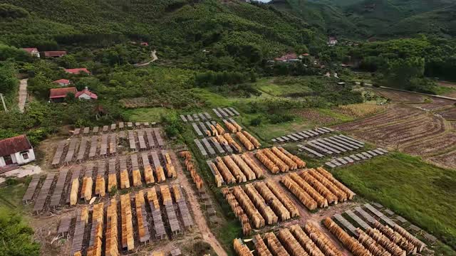 Aerial Over Stacked Timber