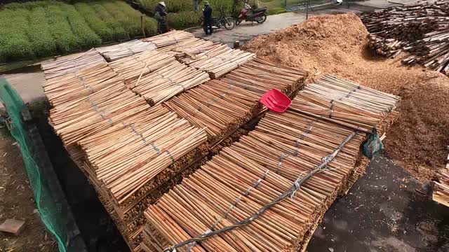 Aerial Of Bundled Timber Stacks