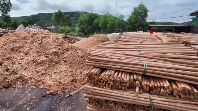 Sawdust Pile And Timber Poles