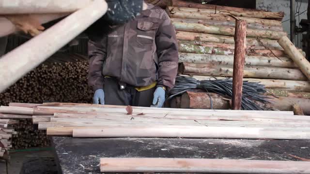 Worker Handling White Wood Sticks
