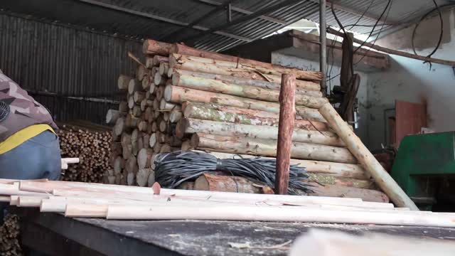 Stacked Logs In Sawmill Shed