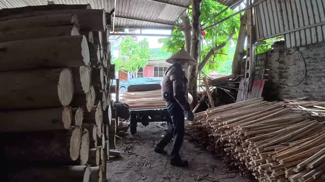 Worker Walking Between Log Stacks