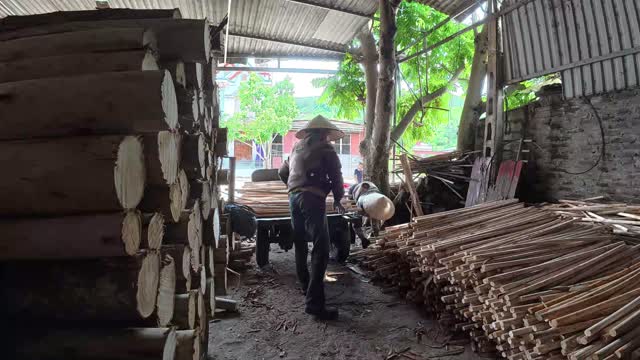 Worker In Timber Storage Shed