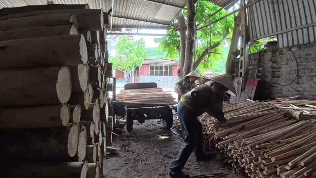 Worker Carrying Timber Bundle