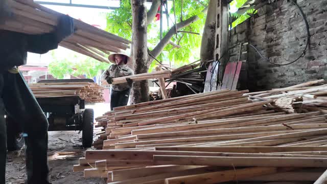 Worker Carrying Stick Bundle