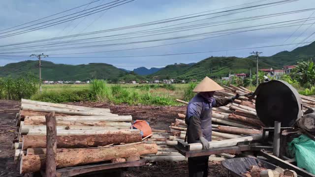 Sawing Timber Poles To Length