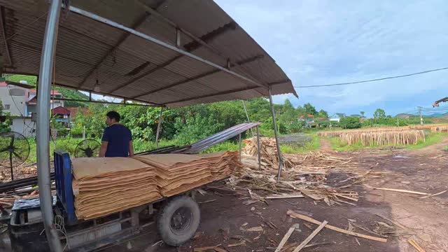 Cart With Veneer Under Drying Shed