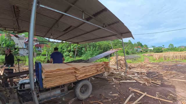 Workers Handling Veneer Sheets