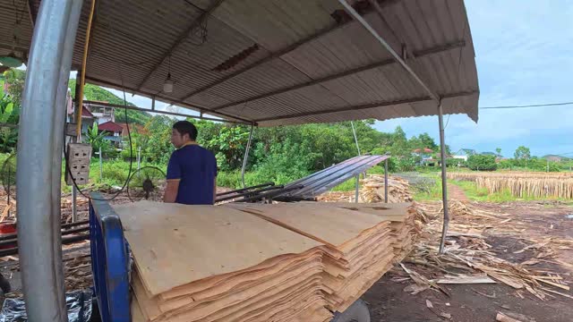 Handling Peeled Veneer Sheets