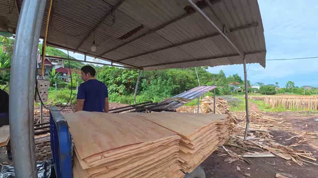 Worker Sorting Veneer On Cart