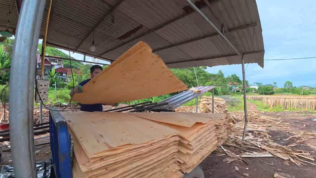 Lifting A Veneer Sheet