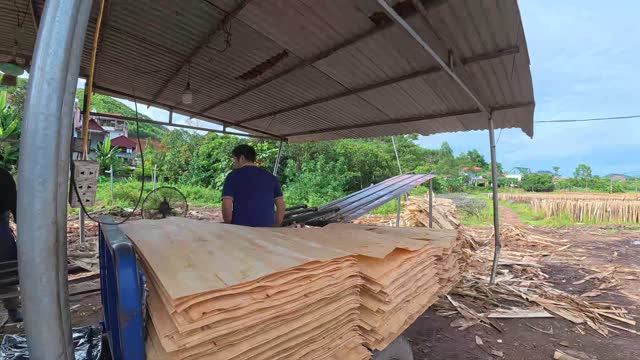 Loading Veneer Onto Cart