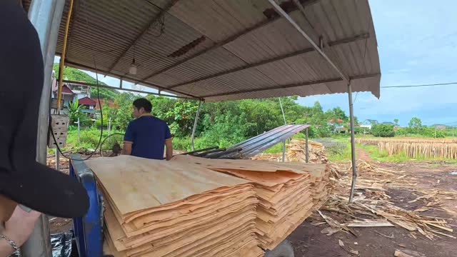 Workers Stacking Veneer Sheets