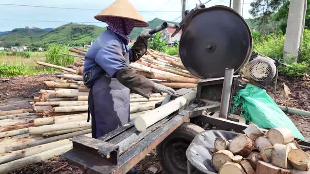 Worker Sawing Logs To Length