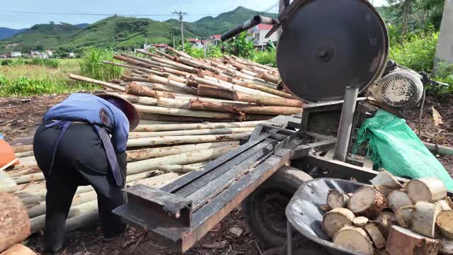Cutting Timber At Sawmill