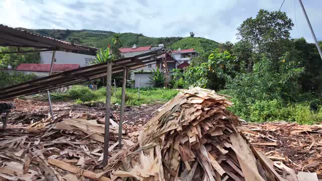 Wood Scrap Pile By Hills