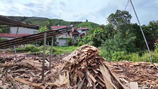 Peeled Wood Waste Heap