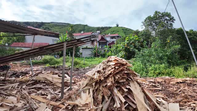 Bark Scrap Mound At Mill
