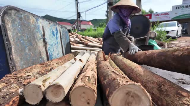 Logs On Saw Cart Detail