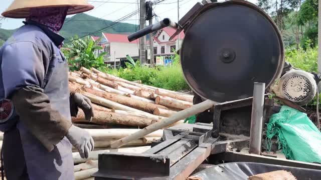 Sawing Eucalyptus Logs