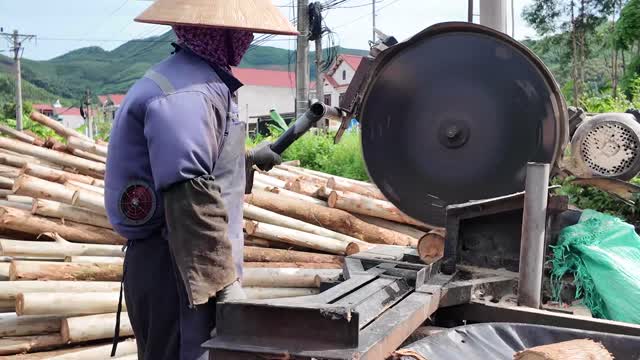 Operating Rustic Log Saw