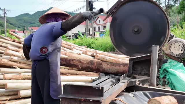 Cutting Logs On Saw Bench