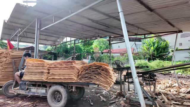 Cart Of Veneer Under Shed