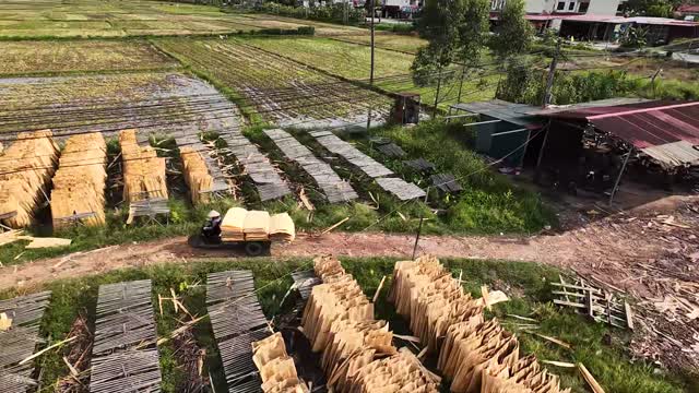 Aerial Over Timber Drying Fields