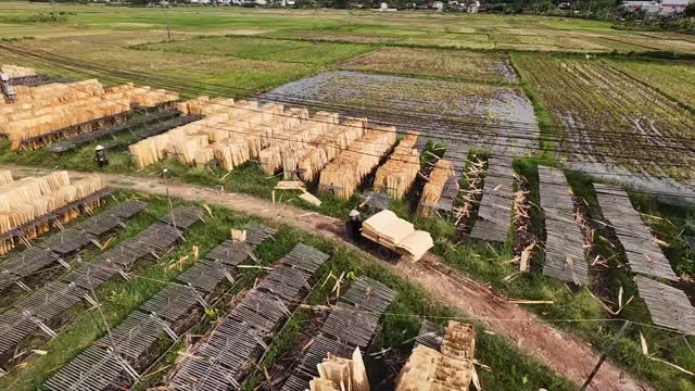 Aerial Over Drying Timber Rows