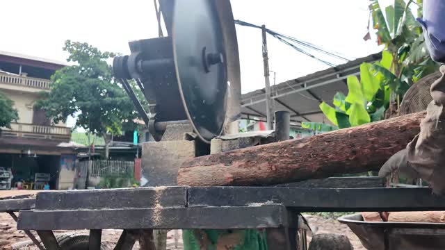 Saw Blade Cutting Log Low Angle