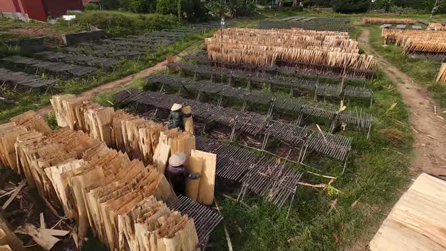 Aerial Over Veneer Drying Racks
