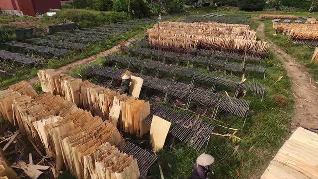 Aerial Over Veneer Drying Yard