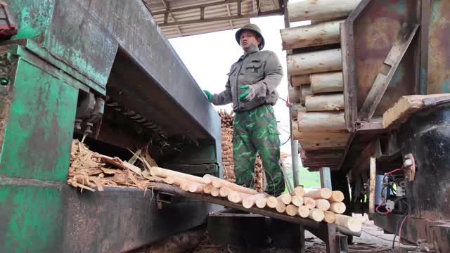 Dowels Exiting Rounding Machine